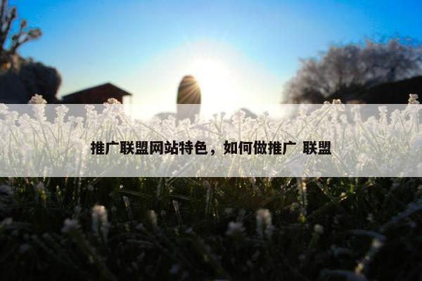 推广联盟网站特色，如何做推广 联盟