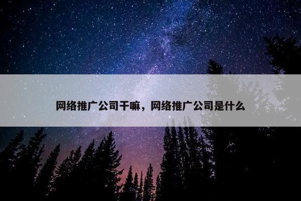网络推广公司干嘛，网络推广公司是什么
