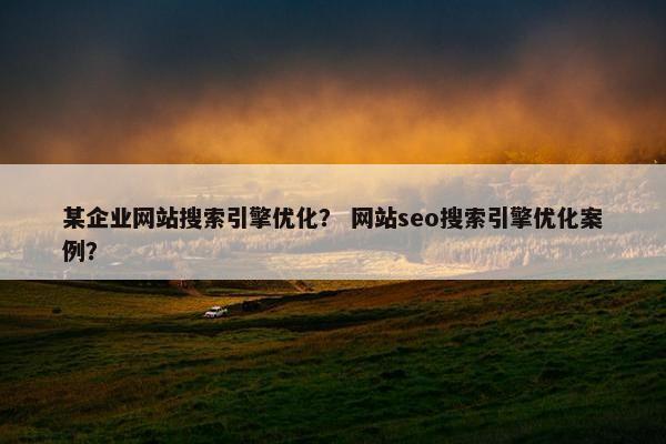 某企业网站搜索引擎优化？ 网站seo搜索引擎优化案例？