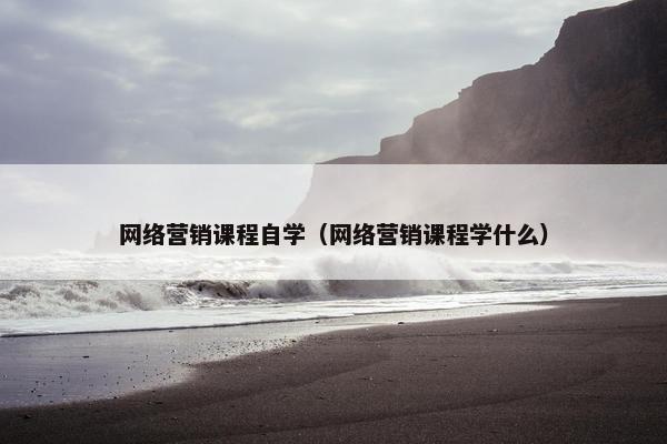 网络营销课程自学（网络营销课程学什么）