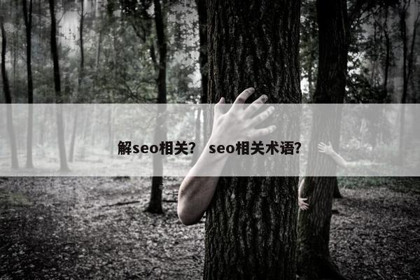 解seo相关？ seo相关术语？