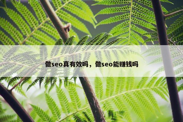 做seo真有效吗，做seo能赚钱吗
