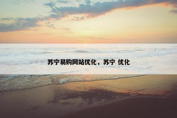 苏宁易购网站优化，苏宁 优化