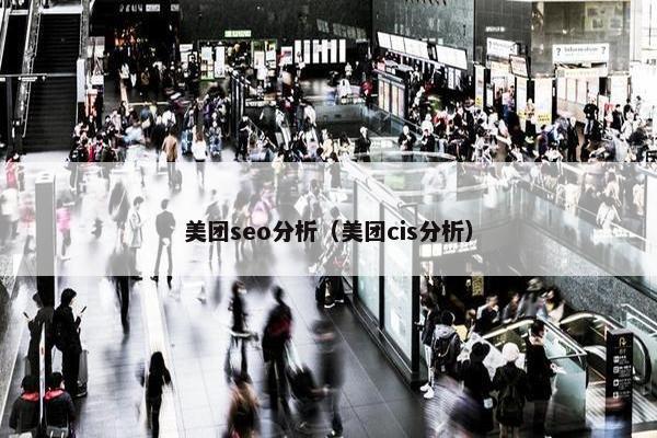 美团seo分析（美团cis分析）