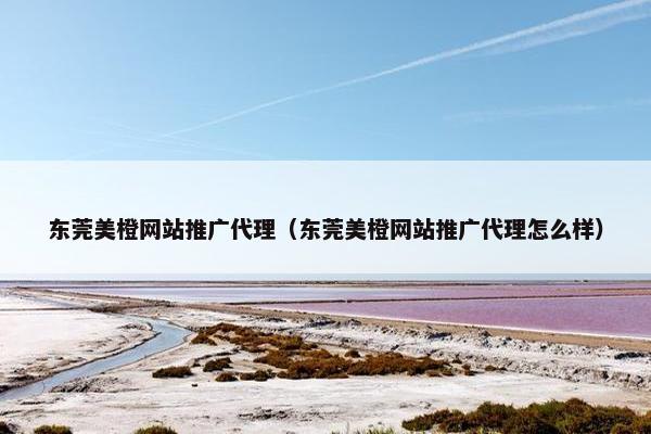 东莞美橙网站推广代理（东莞美橙网站推广代理怎么样）