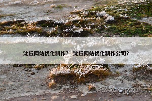 沈丘网站优化制作？ 沈丘网站优化制作公司？