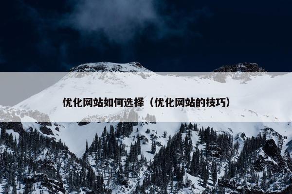 优化网站如何选择（优化网站的技巧）