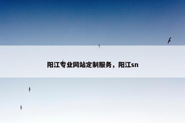 阳江专业网站定制服务，阳江sn