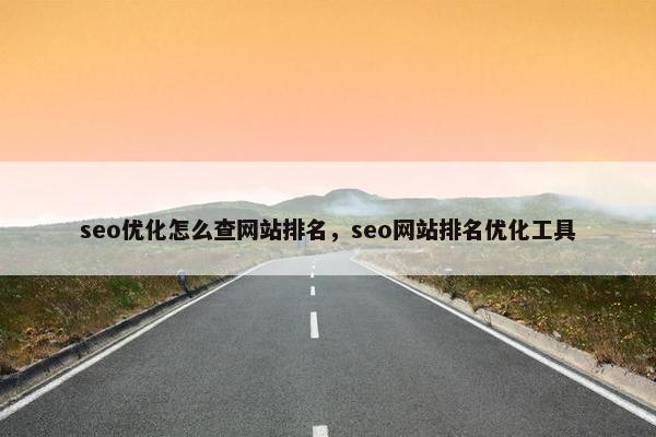 seo优化怎么查网站排名，seo网站排名优化工具