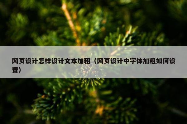 网页设计怎样设计文本加粗（网页设计中字体加粗如何设置）