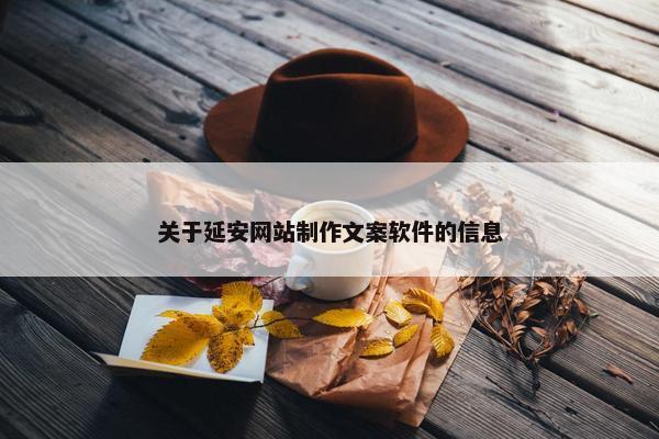 关于延安网站制作文案软件的信息