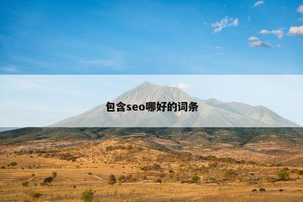 包含seo哪好的词条