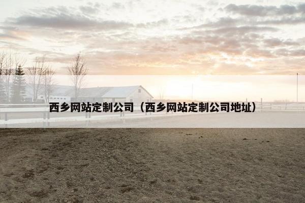 西乡网站定制公司（西乡网站定制公司地址）