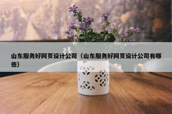 山东服务好网页设计公司（山东服务好网页设计公司有哪些）