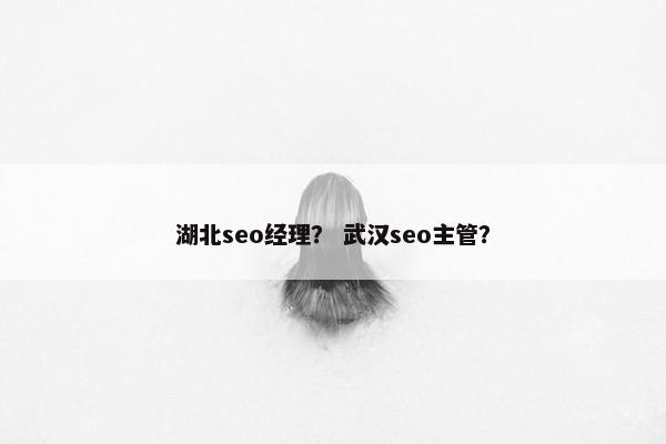 湖北seo经理？ 武汉seo主管？