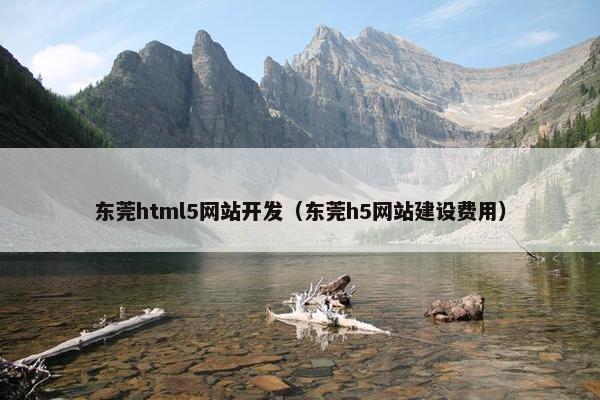 东莞html5网站开发（东莞h5网站建设费用）