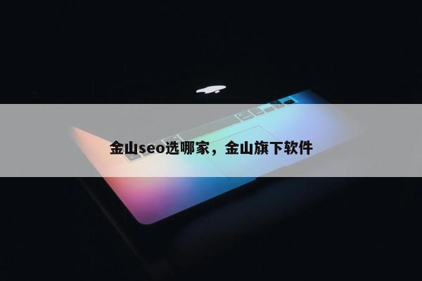 金山seo选哪家，金山旗下软件