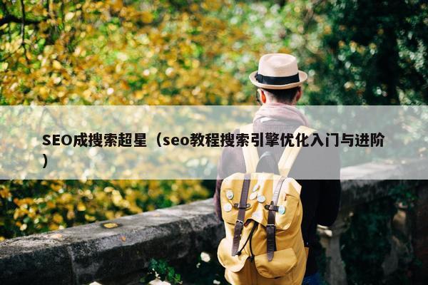 SEO成搜索超星（seo教程搜索引擎优化入门与进阶）
