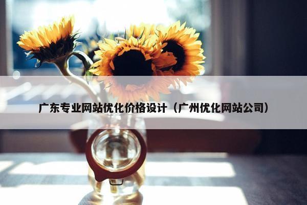 广东专业网站优化价格设计（广州优化网站公司）