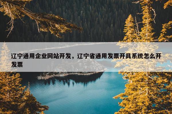 辽宁通用企业网站开发，辽宁省通用发票开具系统怎么开发票