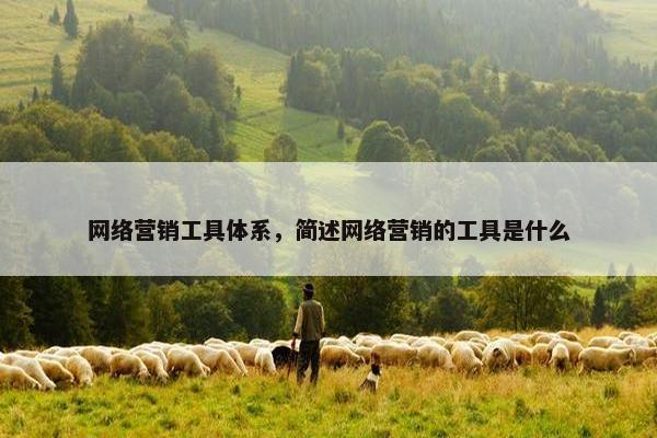 网络营销工具体系，简述网络营销的工具是什么