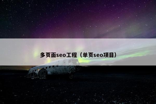 多页面seo工程（单页seo项目）