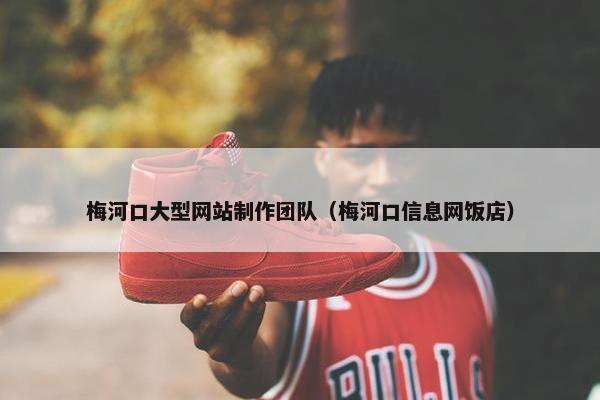 梅河口大型网站制作团队（梅河口信息网饭店）