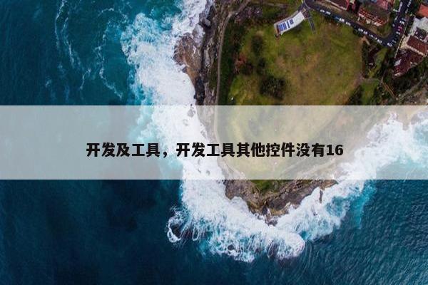 开发及工具，开发工具其他控件没有16