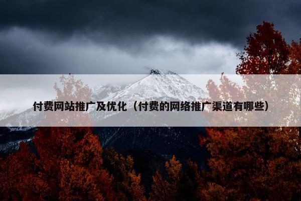 付费网站推广及优化（付费的网络推广渠道有哪些）