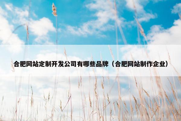 合肥网站定制开发公司有哪些品牌（合肥网站制作企业）