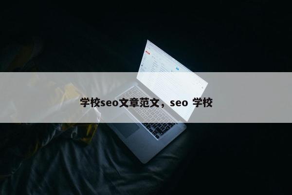 学校seo文章范文，seo 学校