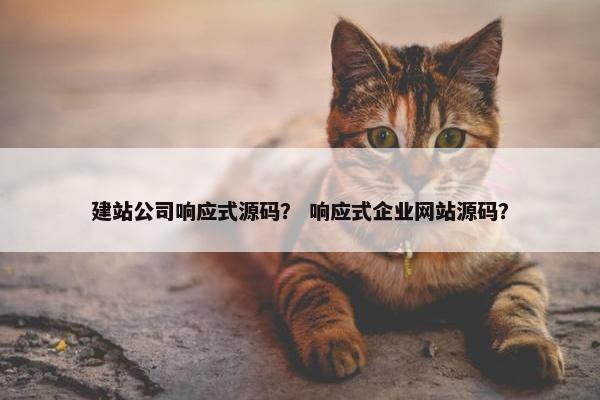 建站公司响应式源码？ 响应式企业网站源码？