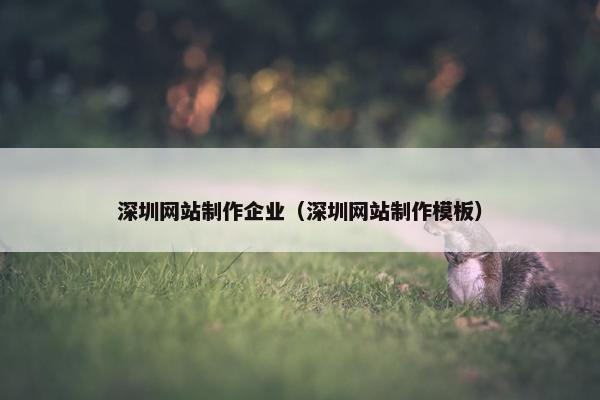 深圳网站制作企业（深圳网站制作模板）