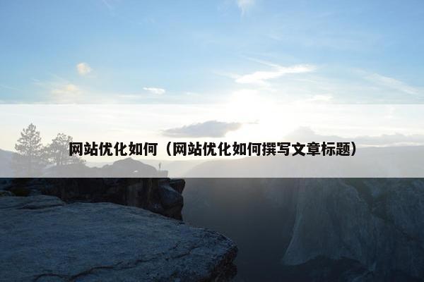 网站优化如何（网站优化如何撰写文章标题）