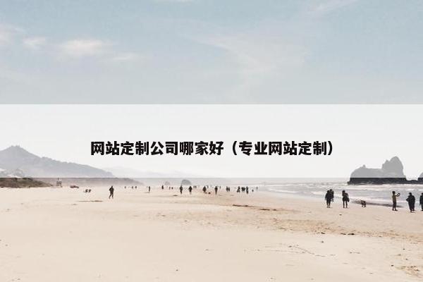 网站定制公司哪家好（专业网站定制）