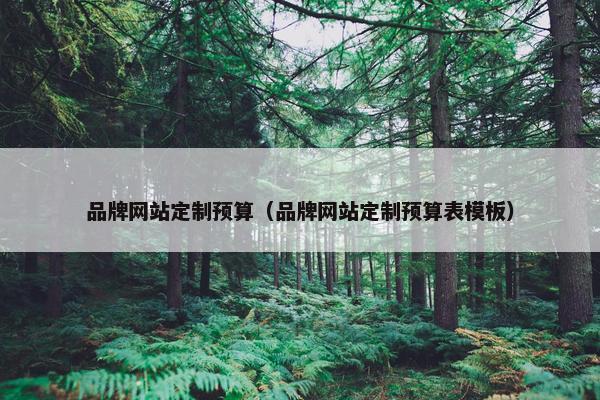 品牌网站定制预算（品牌网站定制预算表模板）
