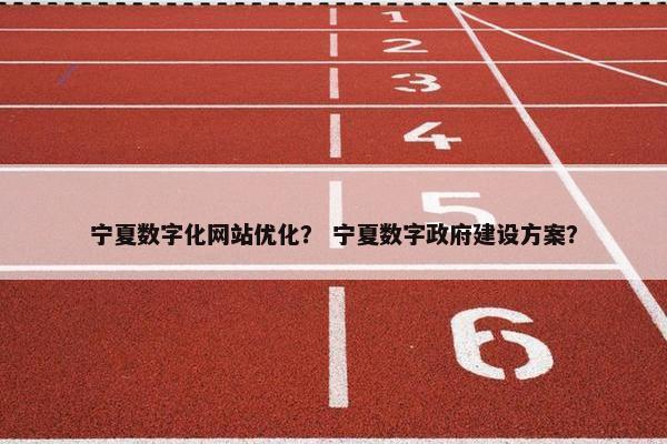 宁夏数字化网站优化？ 宁夏数字政府建设方案？