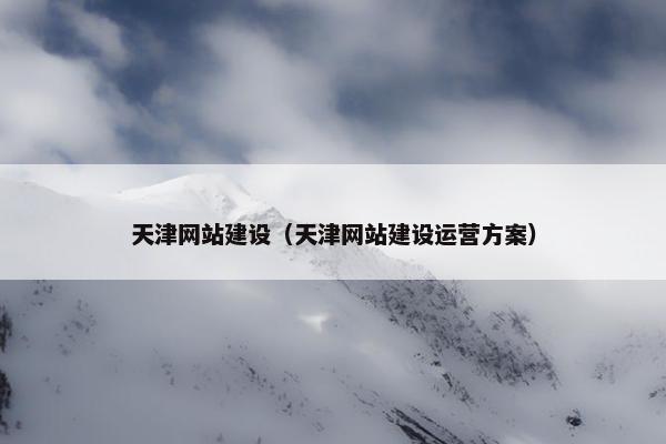 天津网站建设（天津网站建设运营方案）