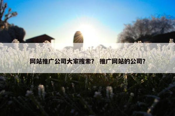 网站推广公司大家搜索？ 推广网站的公司？