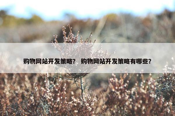购物网站开发策略？ 购物网站开发策略有哪些？