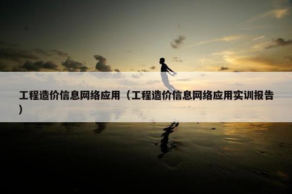 工程造价信息网络应用（工程造价信息网络应用实训报告）