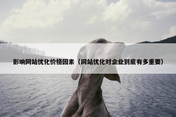 影响网站优化价格因素（网站优化对企业到底有多重要）