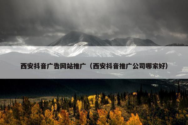 西安抖音广告网站推广（西安抖音推广公司哪家好）