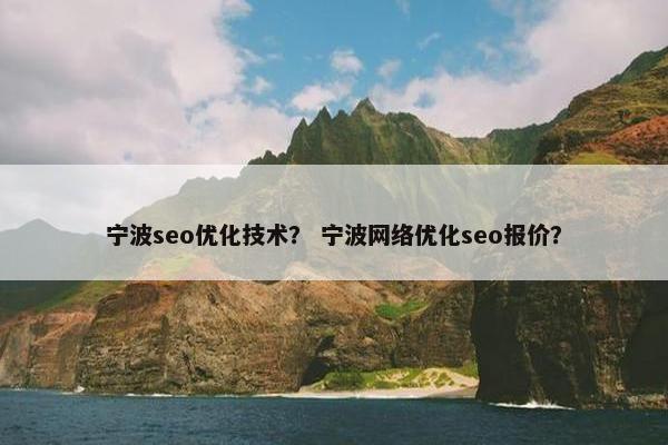 宁波seo优化技术？ 宁波网络优化seo报价？
