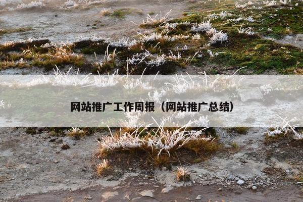 网站推广工作周报（网站推广总结）