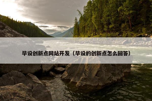 毕设创新点网站开发（毕设的创新点怎么回答）