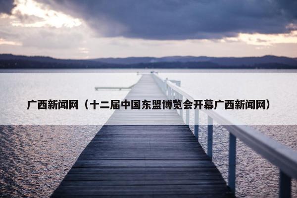 广西新闻网（十二届中国东盟博览会开幕广西新闻网）