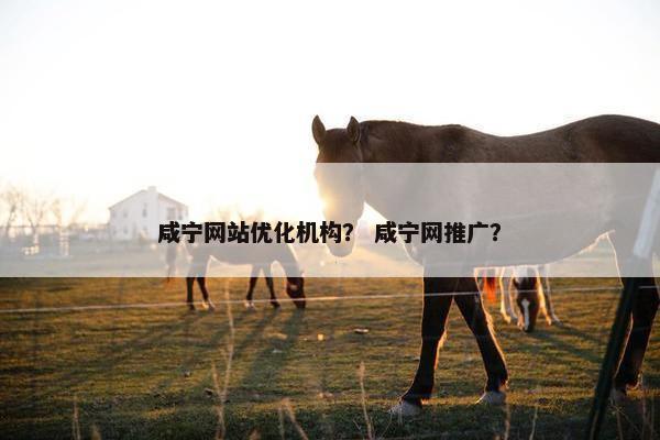 咸宁网站优化机构？ 咸宁网推广？