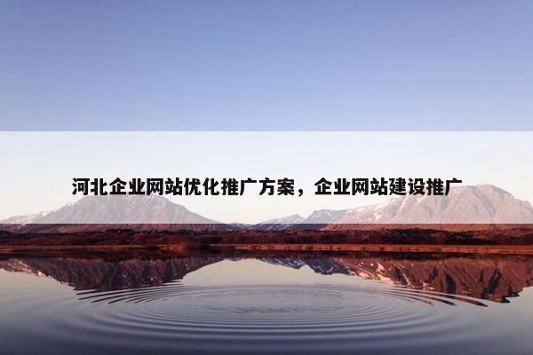河北企业网站优化推广方案，企业网站建设推广