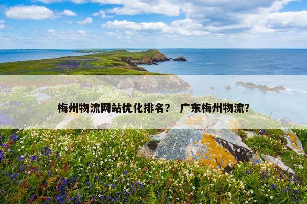 梅州物流网站优化排名？ 广东梅州物流？
